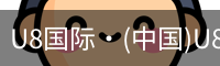 U8国际